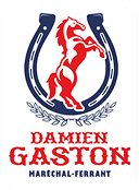 Logo Damien Gaston Maréchal-Ferrant : cheval cabré rouge devant un fer à cheval bleu, couronné de lauriers.
